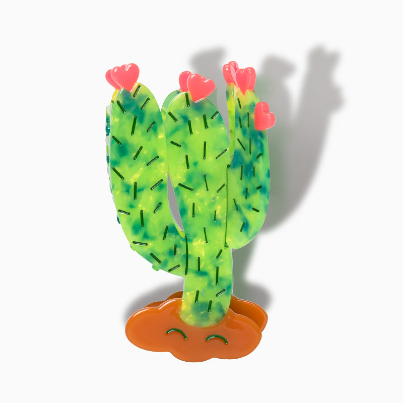 Cactus Hair Plant Claw Beauty Gift